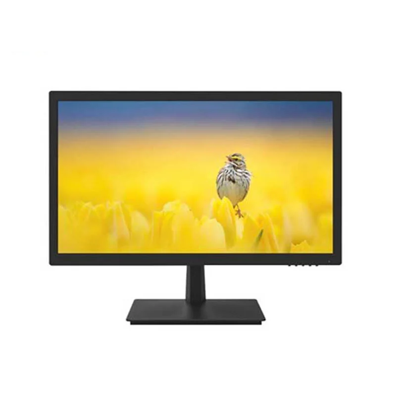 màn hình Dell P2419H
